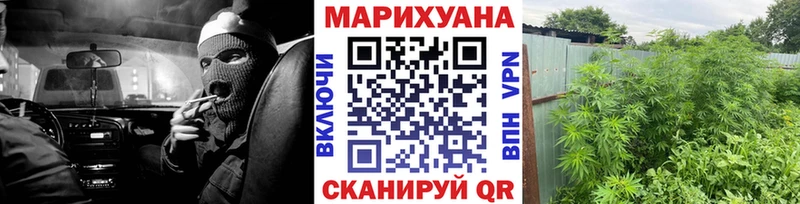 OMG онион  Поворино  МАРИХУАНА сатива 